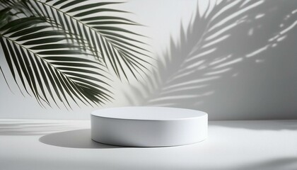 Obraz premium Round Product Podium on a White Background, Tree Shadow, 3D Mockup Background