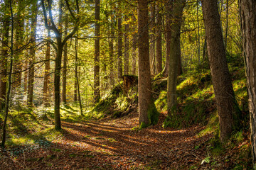 Fototapeta premium Fall or Autum in the Walgau Valley, State of Vorarlberg, Austria