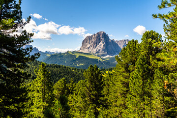 View on the Sassolungo in Val Gardena, dolomites, Italy, South Tyrol
