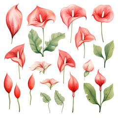Watercolor stickers set clipart Anthurium flower