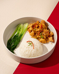 Typical Indonesian white rice served with diced crispy chicken sprinkled with fried garlic