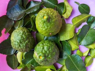 Fototapeta premium Three kaffir limes