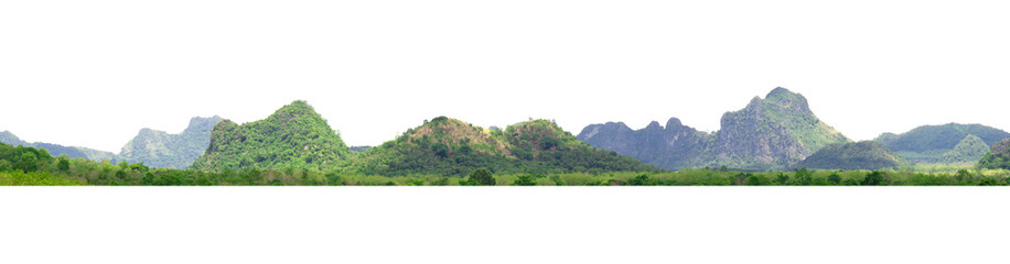mountain range with a green forest in the foreground and a white background