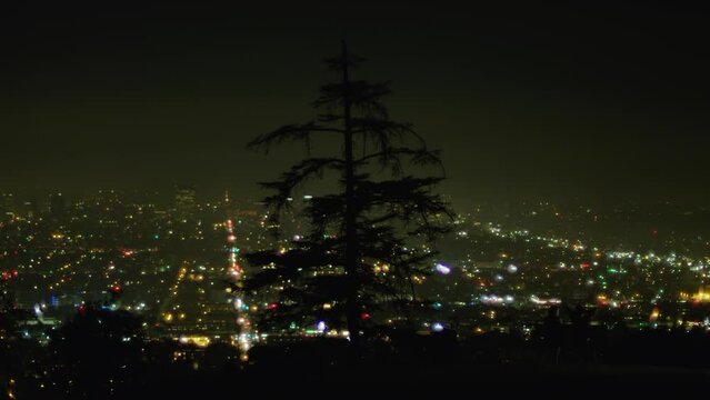 Beautiful cinematic static hd footage. View from Griffith Observatory of lights of Los Angeles at night. One of the largest megacities in the world. Couple in the foreground look at city. California