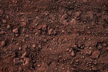 close up of a dirt field with a few rocks scattered around