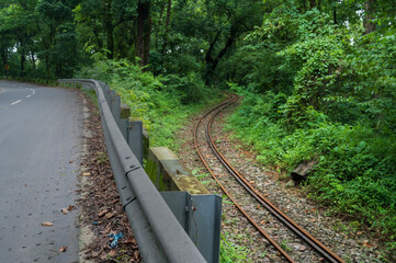 Obraz premium Toy train line, narrow gauge train line passing through Himalayan jungle. Darjeeling Himalayan Railway, narrow gauge railway between New Jalpaiguri and Darjeeling.