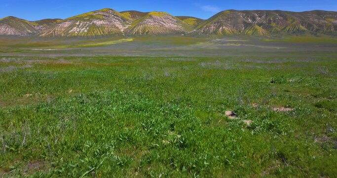 Aerial Temblor Range and Native California Grasses Drone