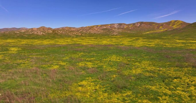 Open Space and Spring Flowers on Temblor Range Aerial 