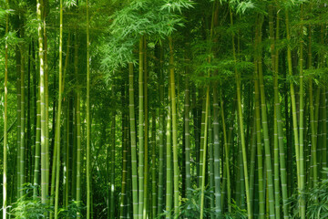 Fototapeta premium Bamboo Forest In The Form Of A Tourist Photo For Background Created Using Artificial Intelligence