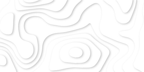Abstract white paper cut background with lines. Background of the topographic map. Vector white geometric 3d papercut wave carve line element. topographic canyon map light relief texture.