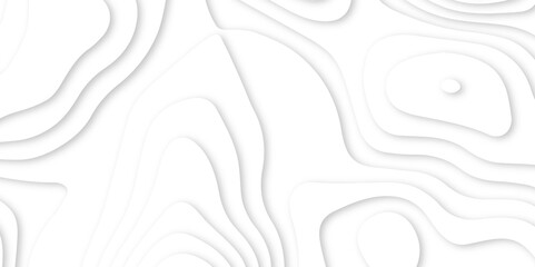 Abstract white paper cut background with lines. Background of the topographic map. Vector white geometric 3d papercut wave carve line element. topographic canyon map light relief texture.