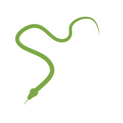 Green snake illustration 