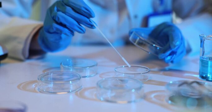 Scientist transfers bacterial samples into petri dish