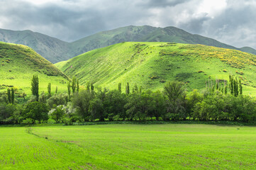 Green field among green hills. Sky with gray clouds. Travel to nature.