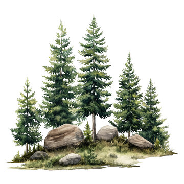 pine trees in watercolor style isolated on transparent background