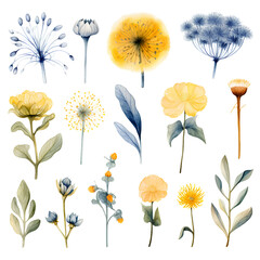 Watercolor stickers set clipart taraxacum flower