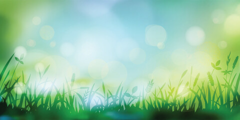 Fototapeta premium Wild grass on a spring morning, bright spring meadow, vector illustration, bokeh effect