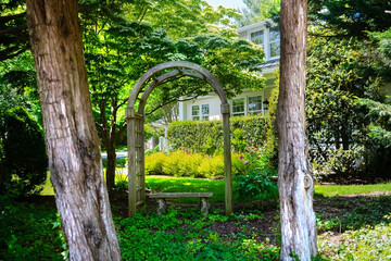 Wooden pergola under a tree at a beautiful green garden. Beautiful gazebo in the shade of the garden.