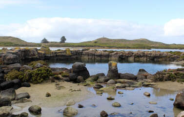 Rock formations, tidal water pools and rolling hills at Port Fairy in Victoria, Australia