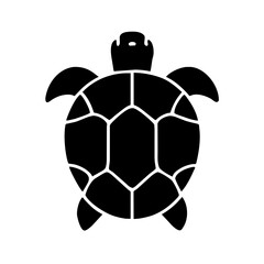 Obraz premium Angulate Tortoise turtle black