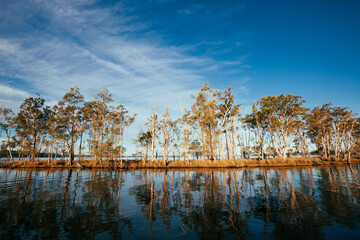 Trees reflecting on the glassy surface of an inland lake below a cloudy blue sky