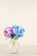 花瓶に生けた紫陽花
