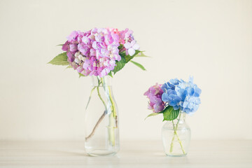 花瓶に生けた紫陽花