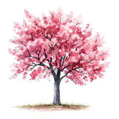 Obraz premium watercolor hand drawn pink cherry tree and bench isolated on transparent background.