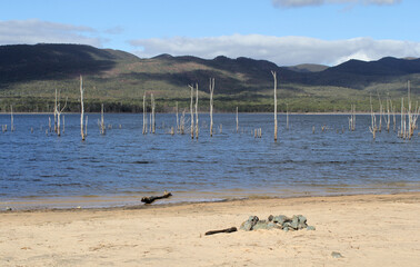 Dead trees with a sandy beach and mountains at Lake Bellfield near Halls Gap in Victoria, Australia