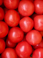 신선한 유기농 채소 빨간 토마토