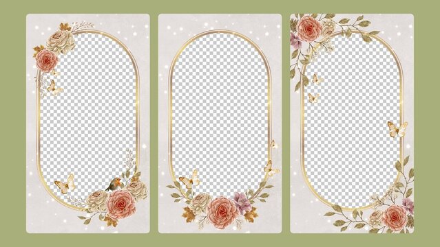 Elegant Frame Overlay Video Template