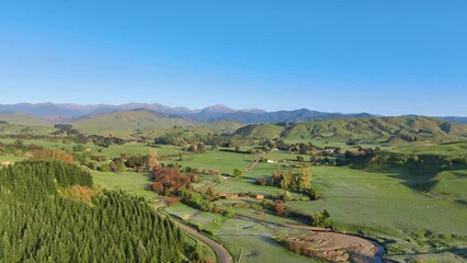 Fine early morning aerial across New Zealand's lush farming pastures