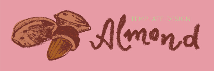 Vector almond icon isolated. Hand drawn almonds drawing, almond nuts illustration. Marzipan paste or almond butter badges. Floral sketch with charcoal textures. Almond emblem for organic food label.