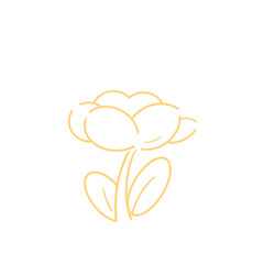 illustration of a flower