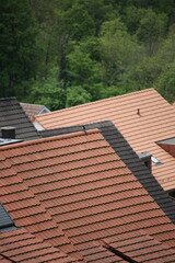 Magpie sitting on a house in a urban area vertical