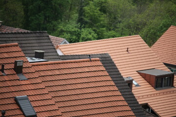 Magpie sitting on a house in a urban area