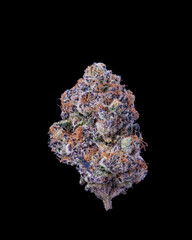 Single dried cannabis nug on black