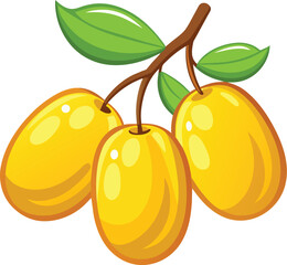 yellow young dates fruit illustration