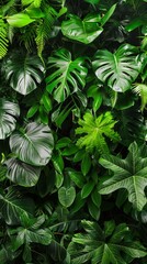 Lush green tropical leaves background