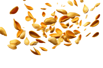 The Dance of the Nut Cascade on White or PNG Transparent Background.