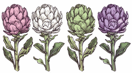 Four of natural artichoke in monochrome and colorful