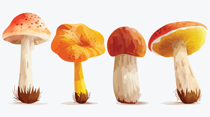 Four of realistic colorful edible mushrooms vector