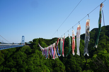 鯉のぼり祭り　竜神大吊橋