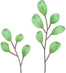 Spring Wildflowers Watercolor 3