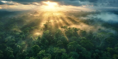 Naklejka premium Dramatic Aerial Photograph of the Jungle at Sunrise. Beautiful Natural Background