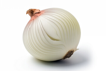 Fresh onion bulbs on white background with clipping path