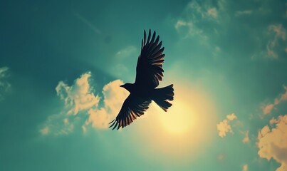 Naklejka premium bird in the sky