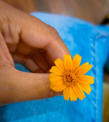 person holding a flower