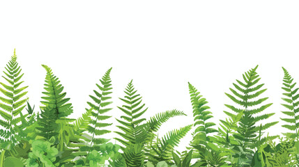 Horizontal background with beautiful ferns wild herbs