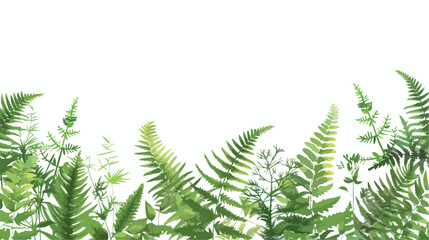 Horizontal background with beautiful ferns wild herbs
